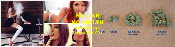 хмурый Лагань