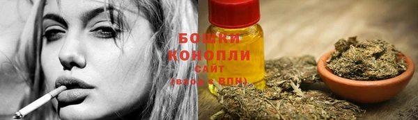 молекула духа Алексеевка