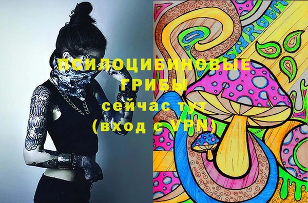 молекула духа Алексеевка