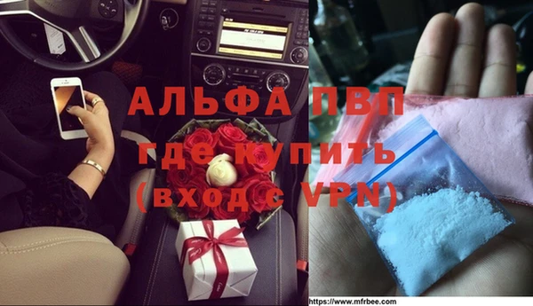 молекула духа Алексеевка