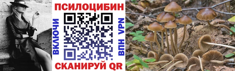 Галлюциногенные грибы Psilocybine cubensis kraken tor Арзамас