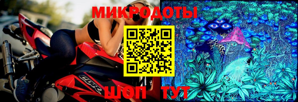 Псилоцибиновые грибы Psilocybe Арзамас